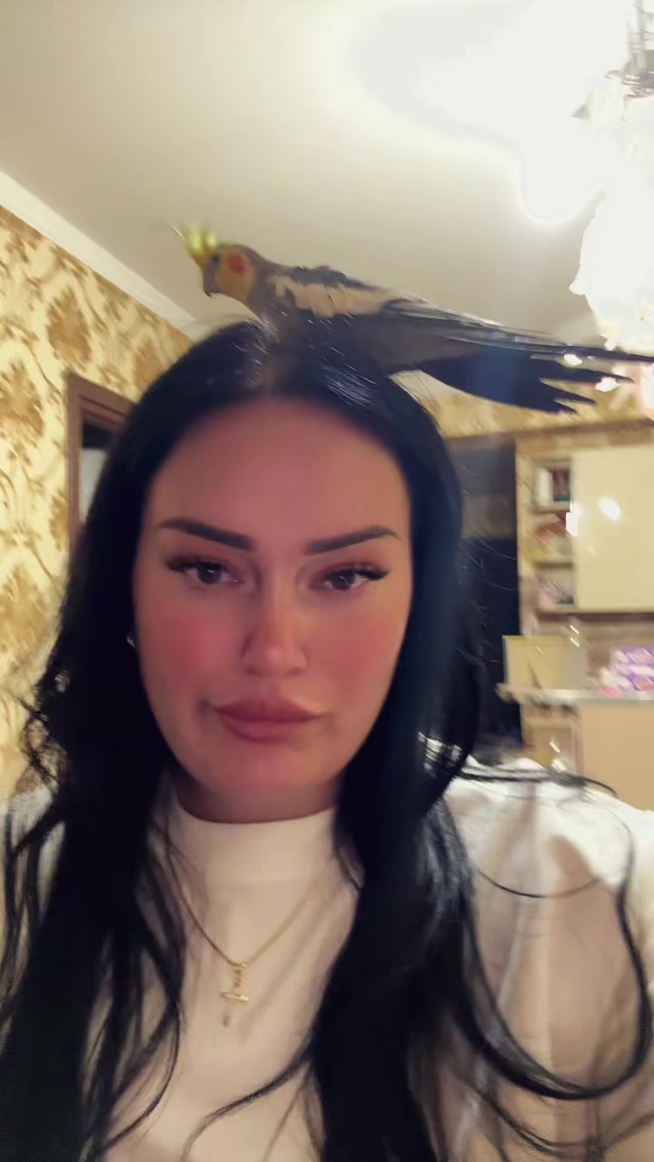 @🐝 მაიკო 🐝
