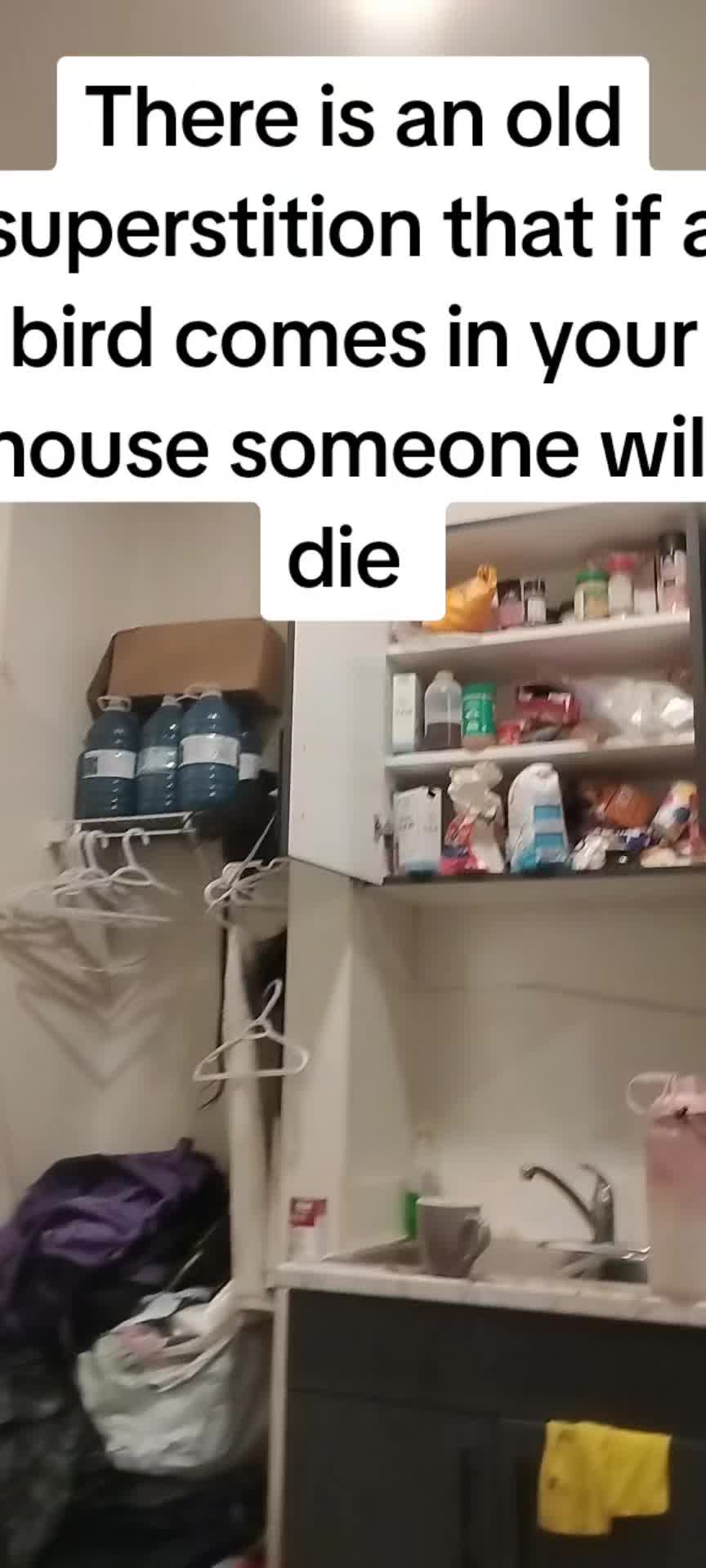 @Erin Alexis