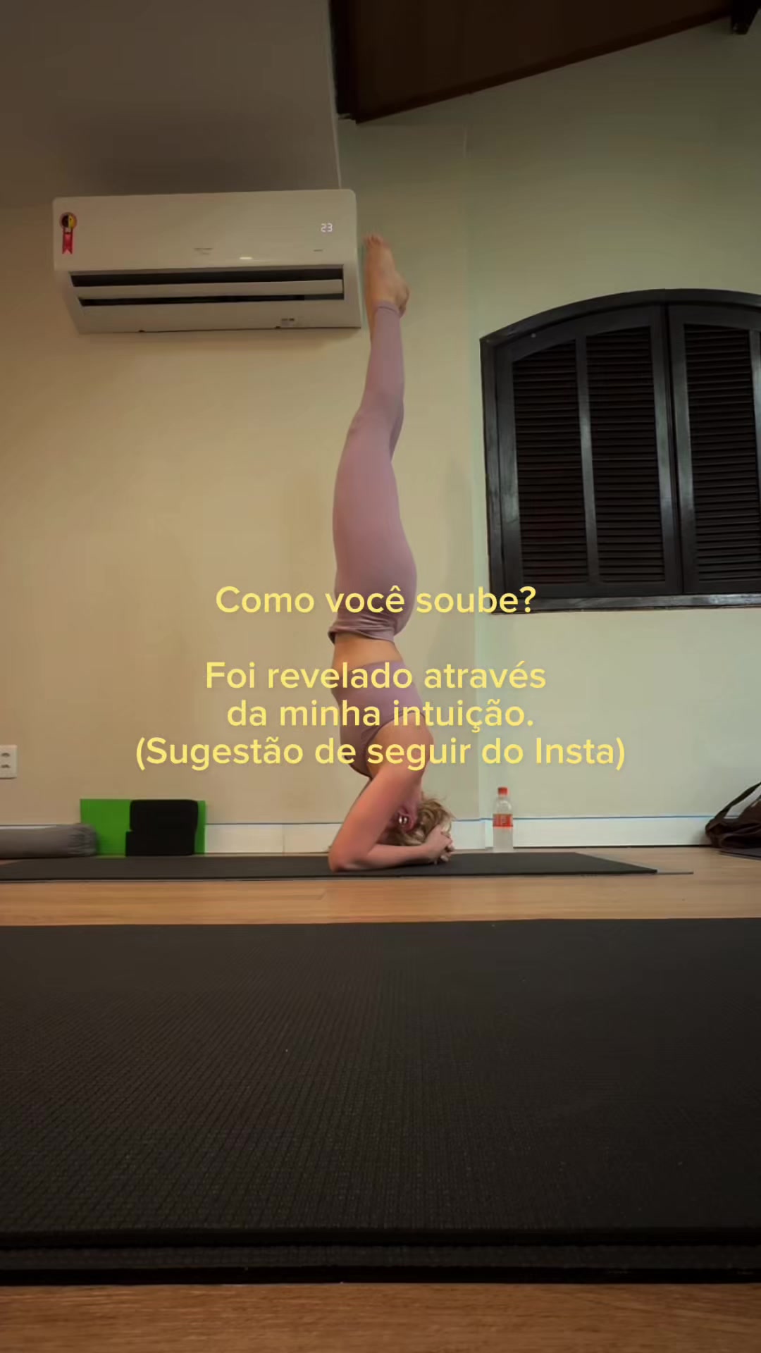 @Bárbara Copetti