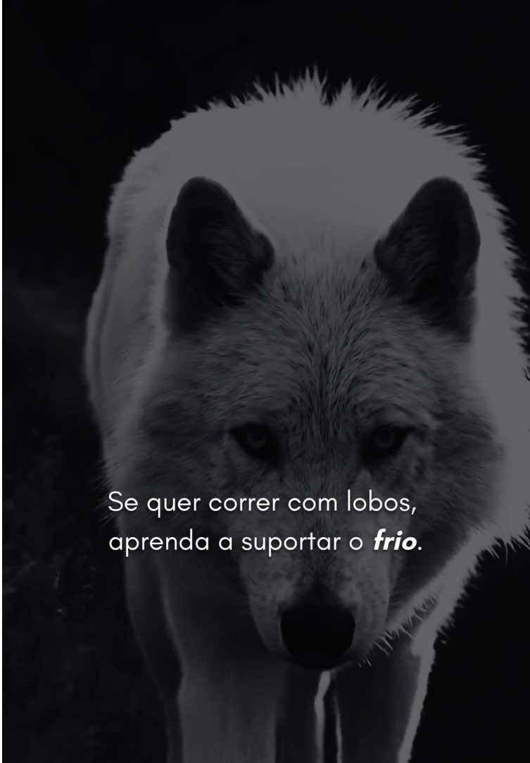 @Sombra de Veritas