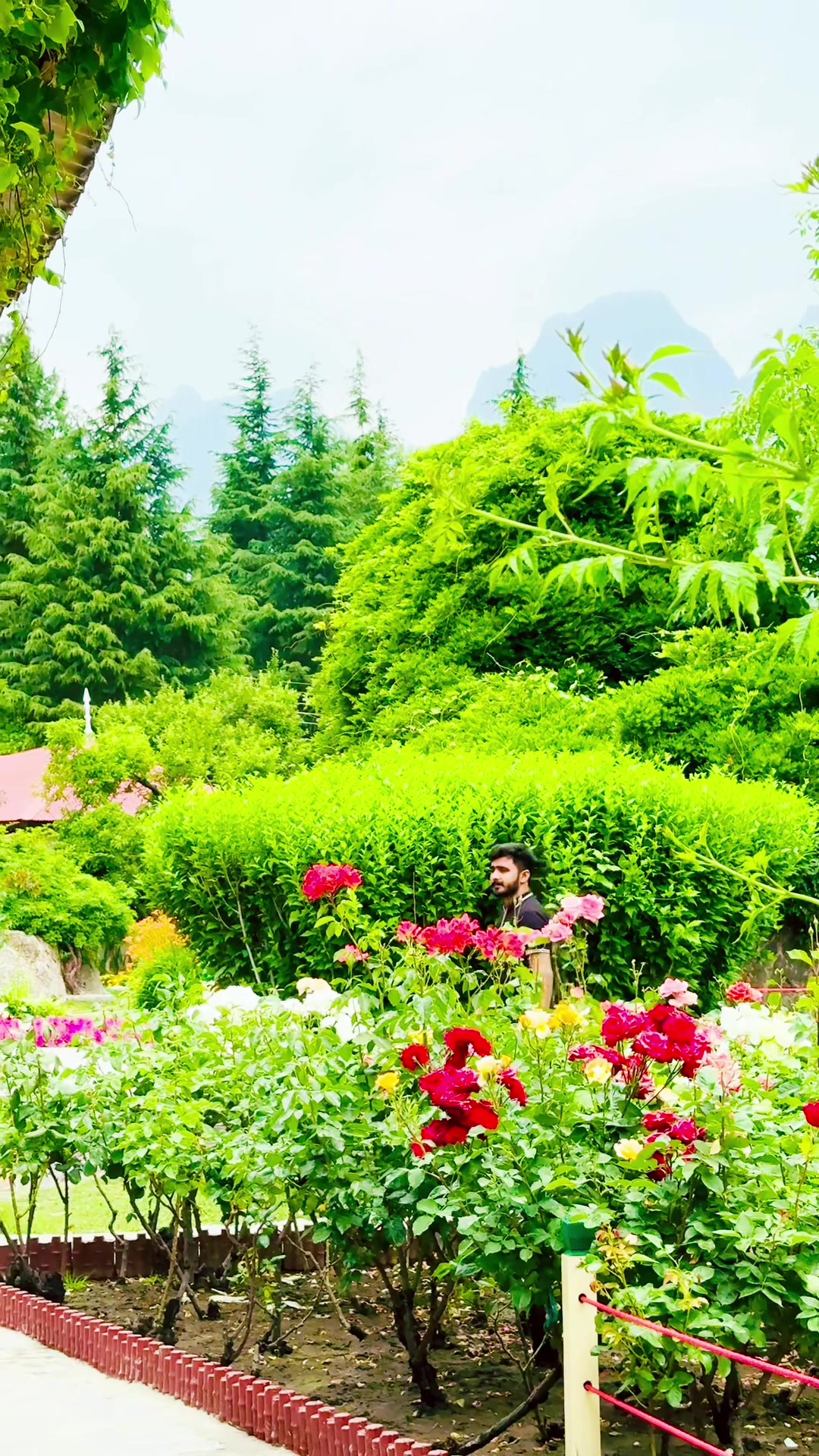 @شہزادعلی چانڈیہ