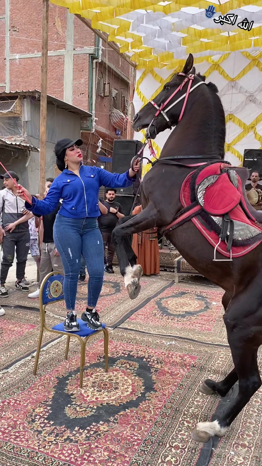 @الكابتن عبير🐎🥇🏆