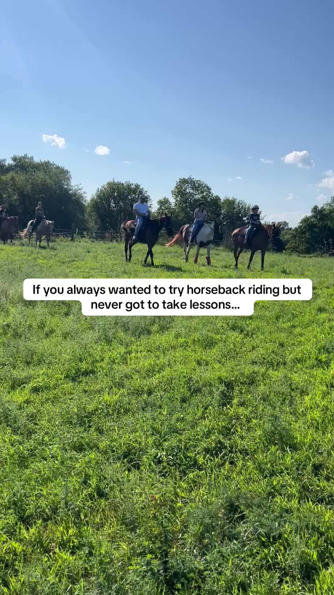 @Millbrook Trail Rides