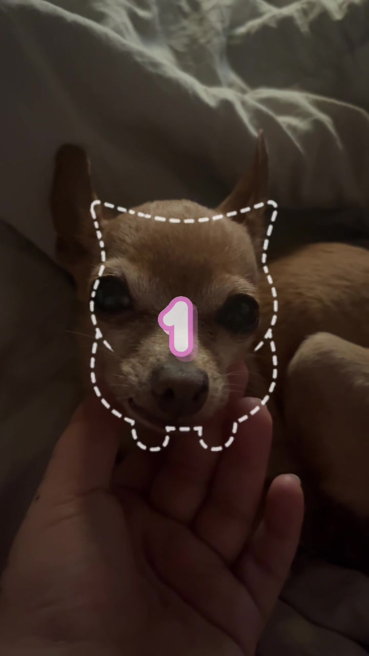 @vivi