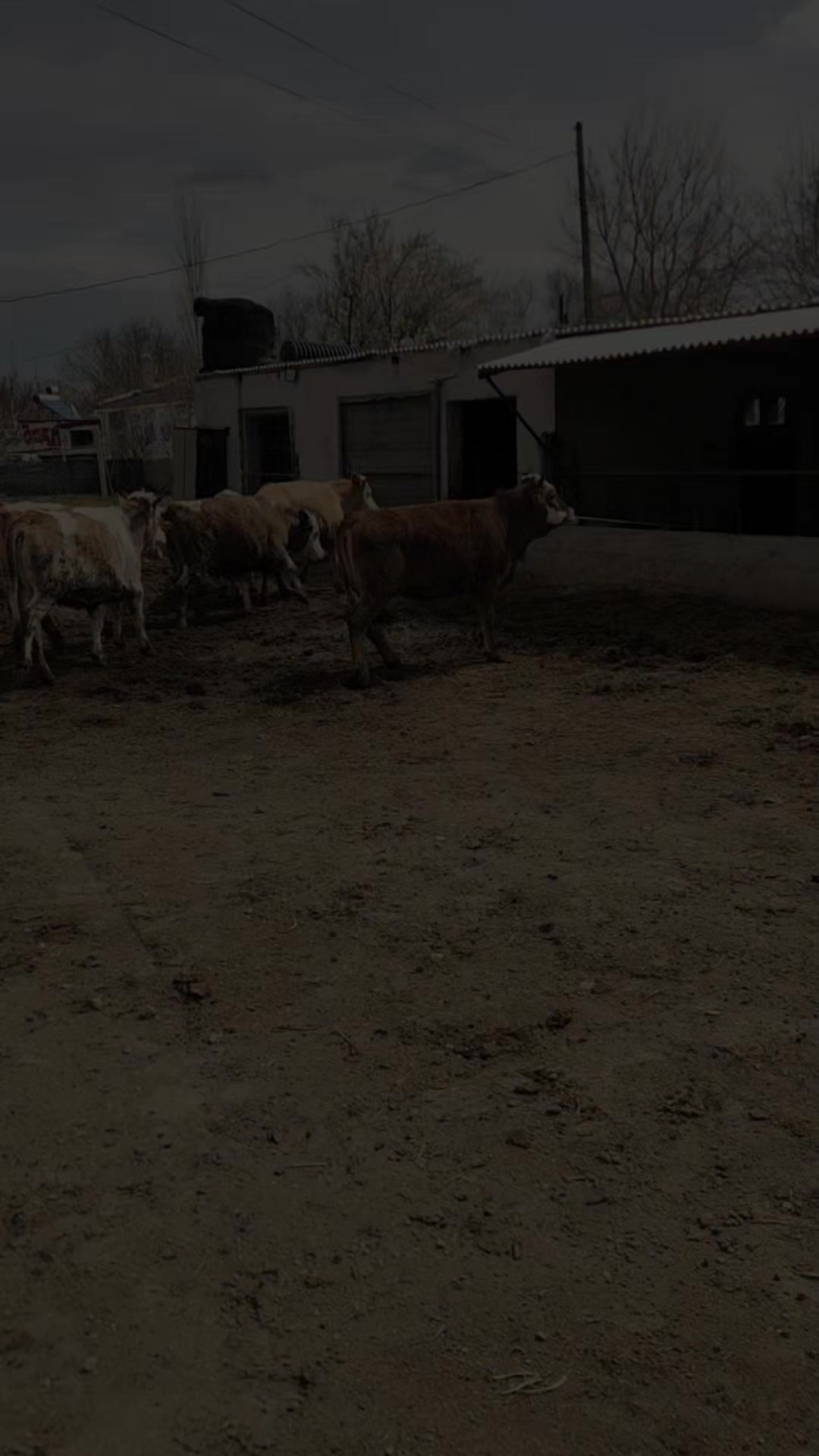 @&Ouml;zkan Kaya