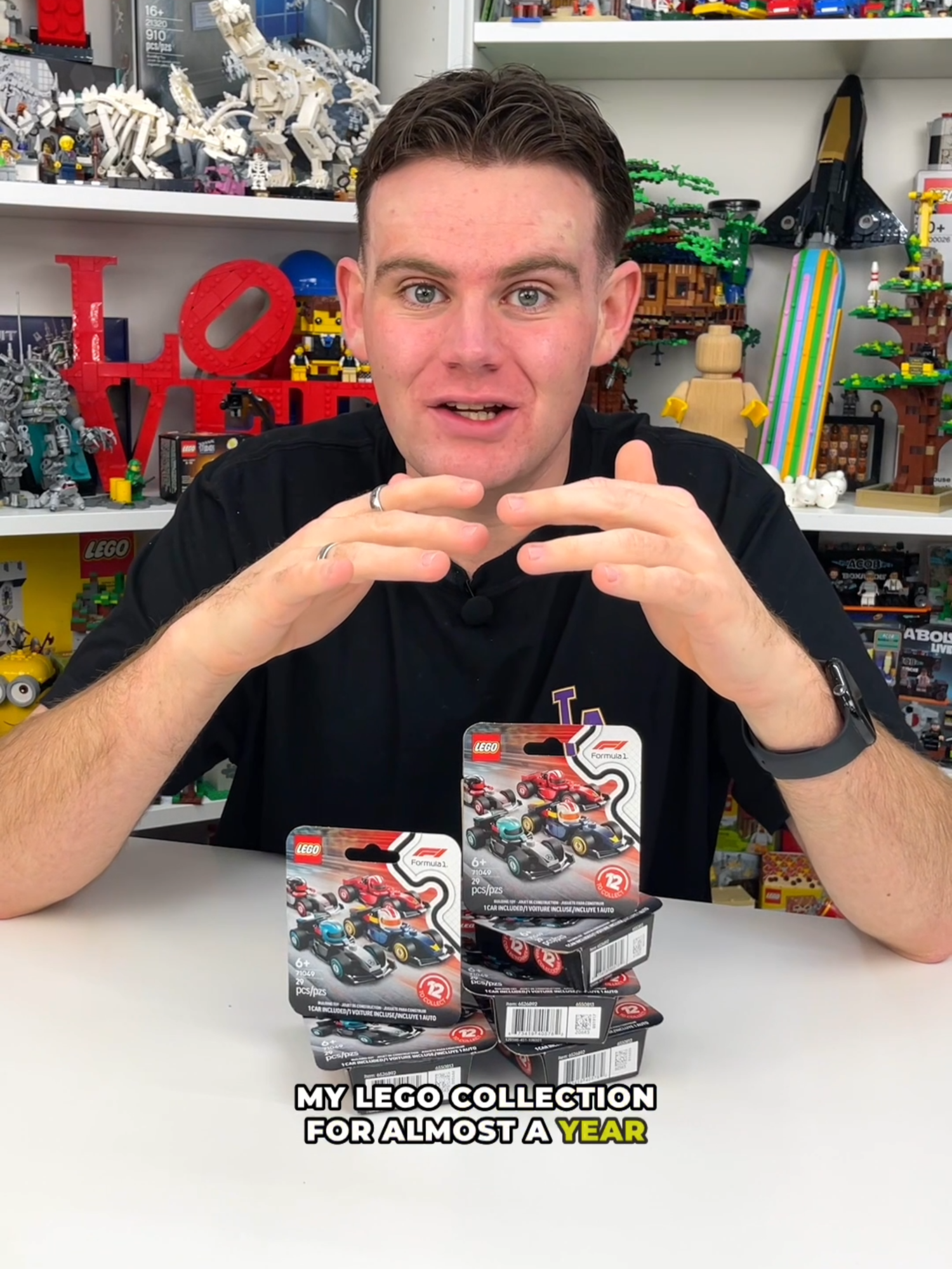 @BRICKLOVER BRAD