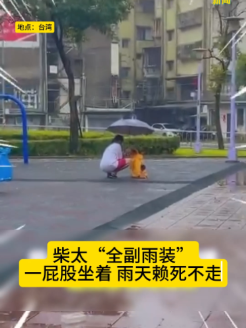 @中国报