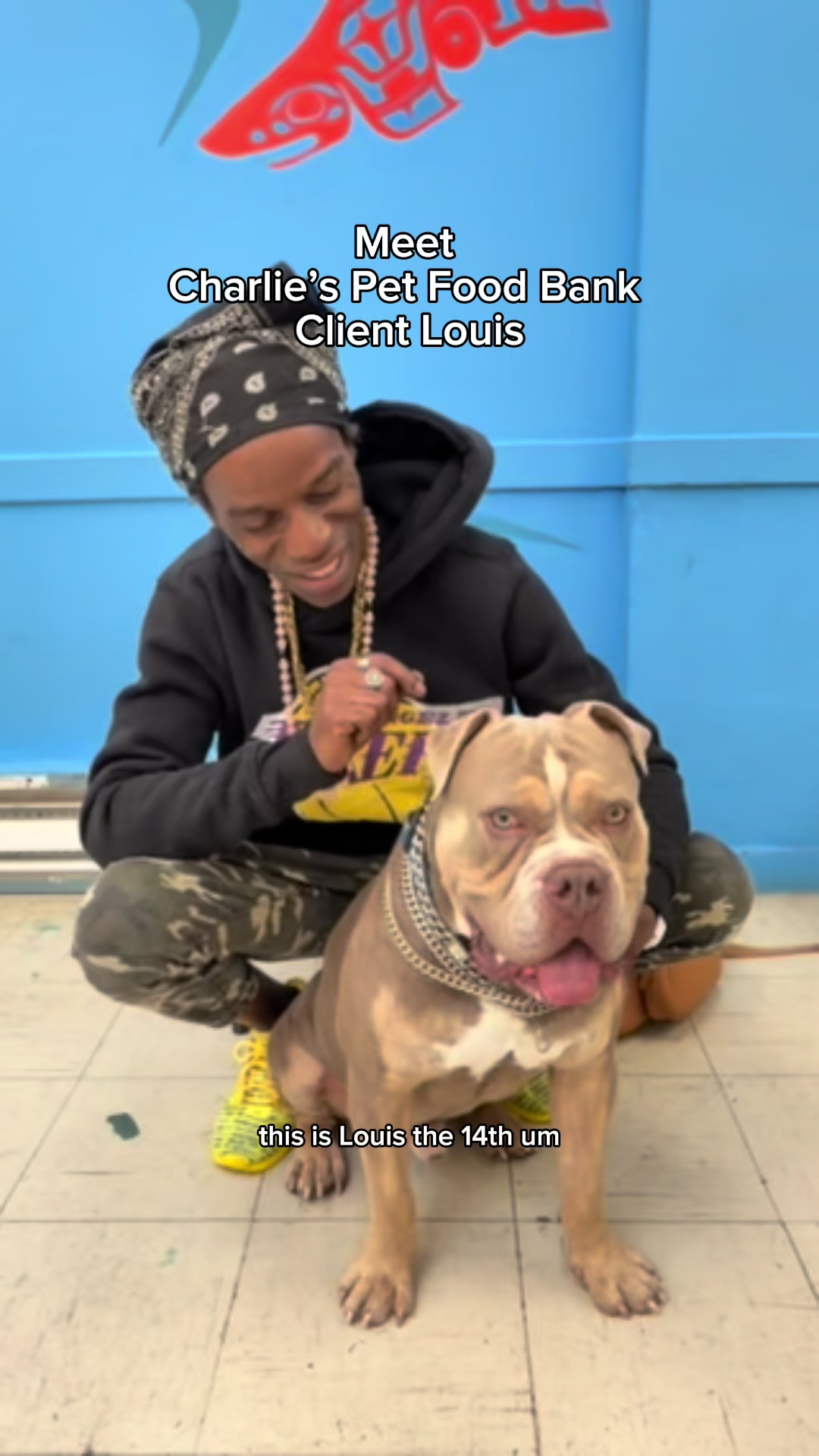 @BC SPCA