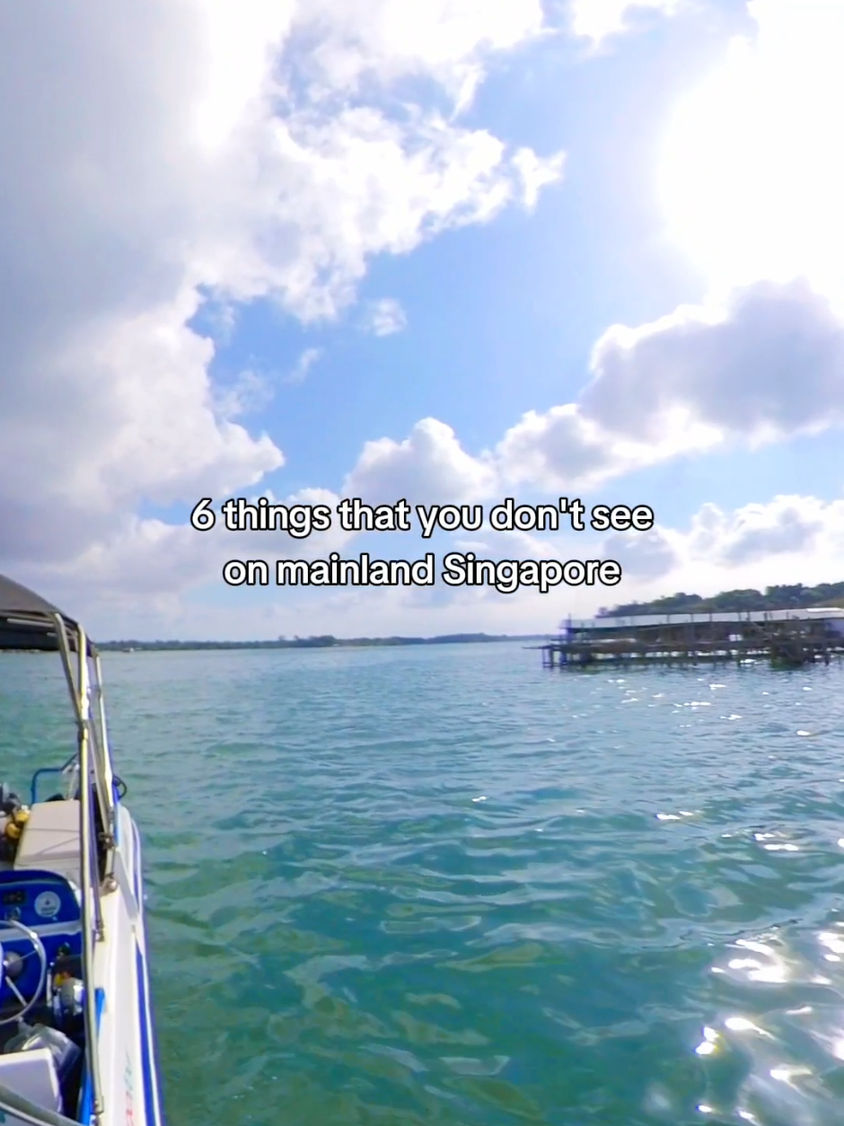 @Let's Go Tour Singapore