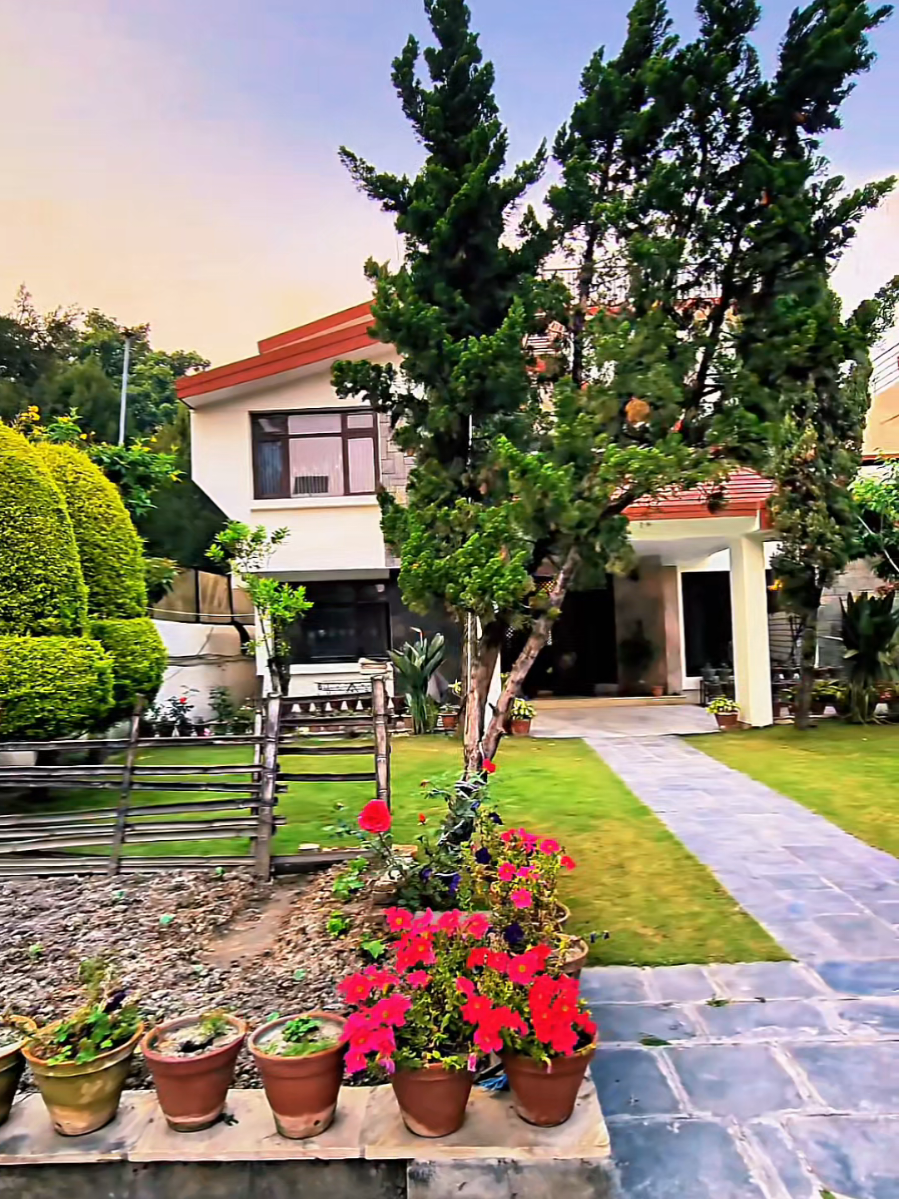 @easy solution properties