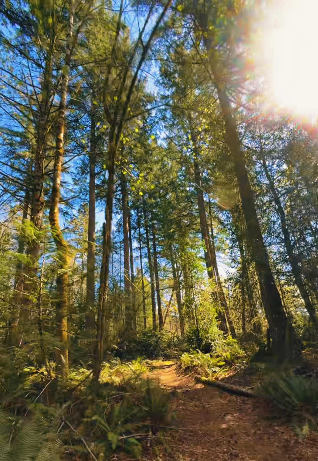 @Nature videos
