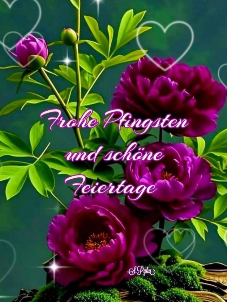 @christiane 64