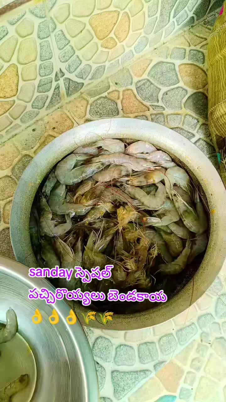 @rajupraju481