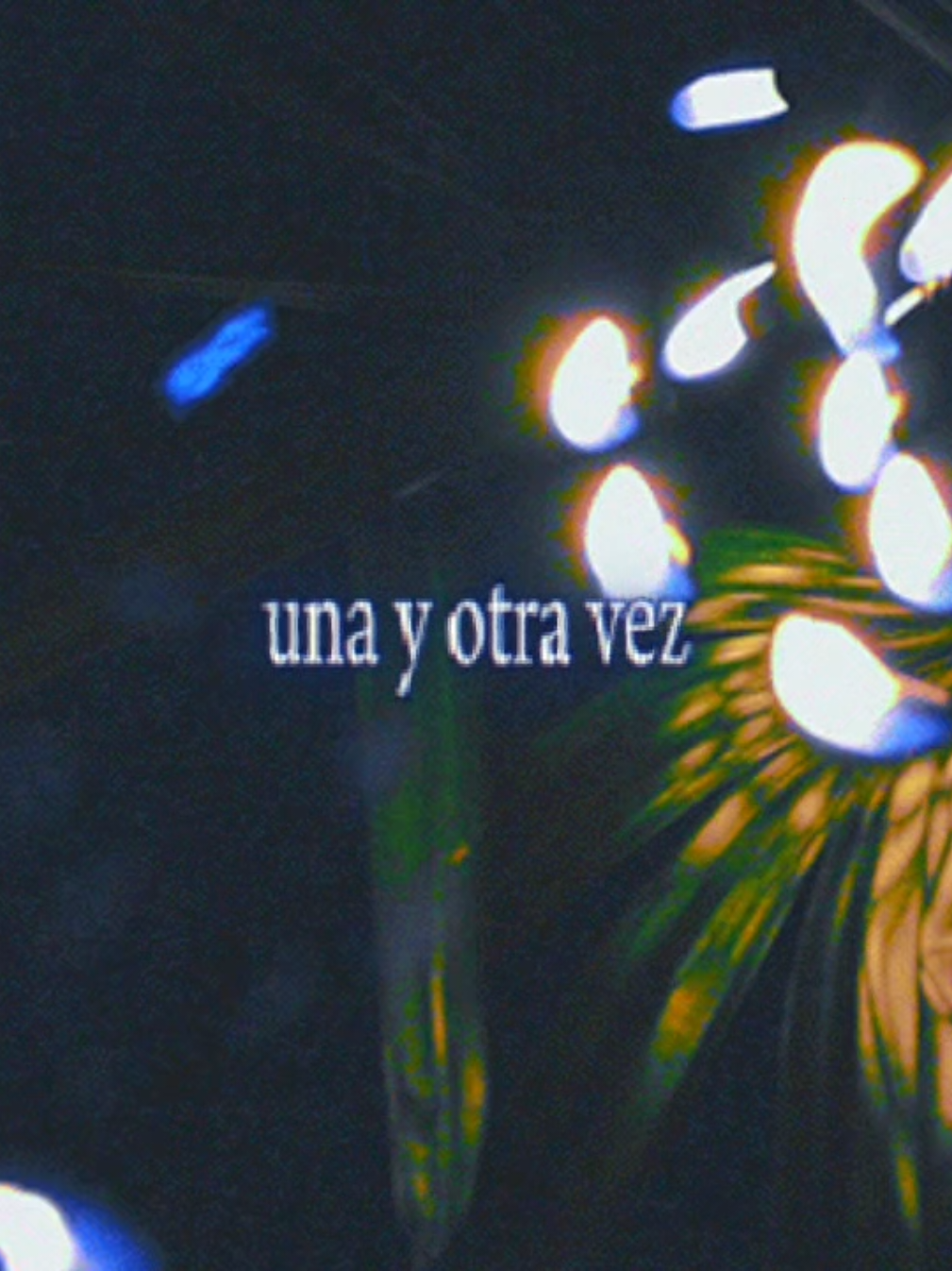 @lynlry☆