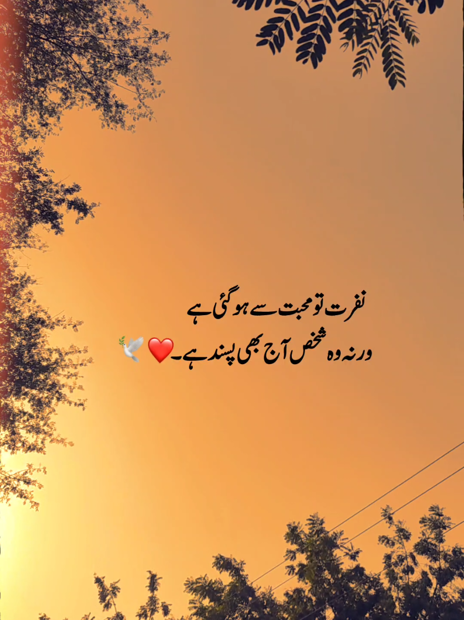 @𝐍𝐎𝐎𝐑 ♡