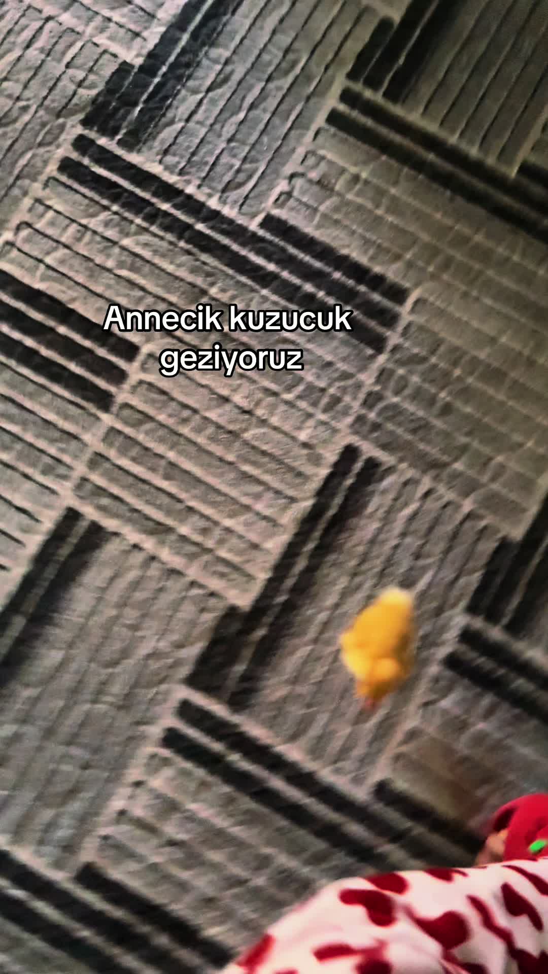 @S&uuml;sl&uuml;&uuml;🦢