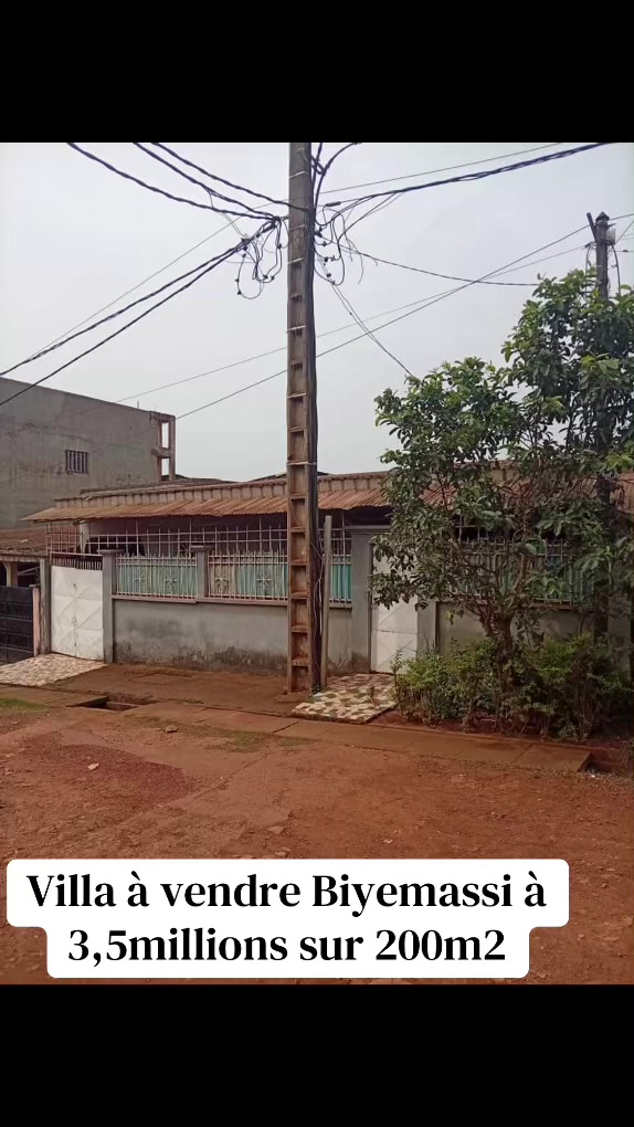@DINO~IMMO~237🇨🇲🇨🇲