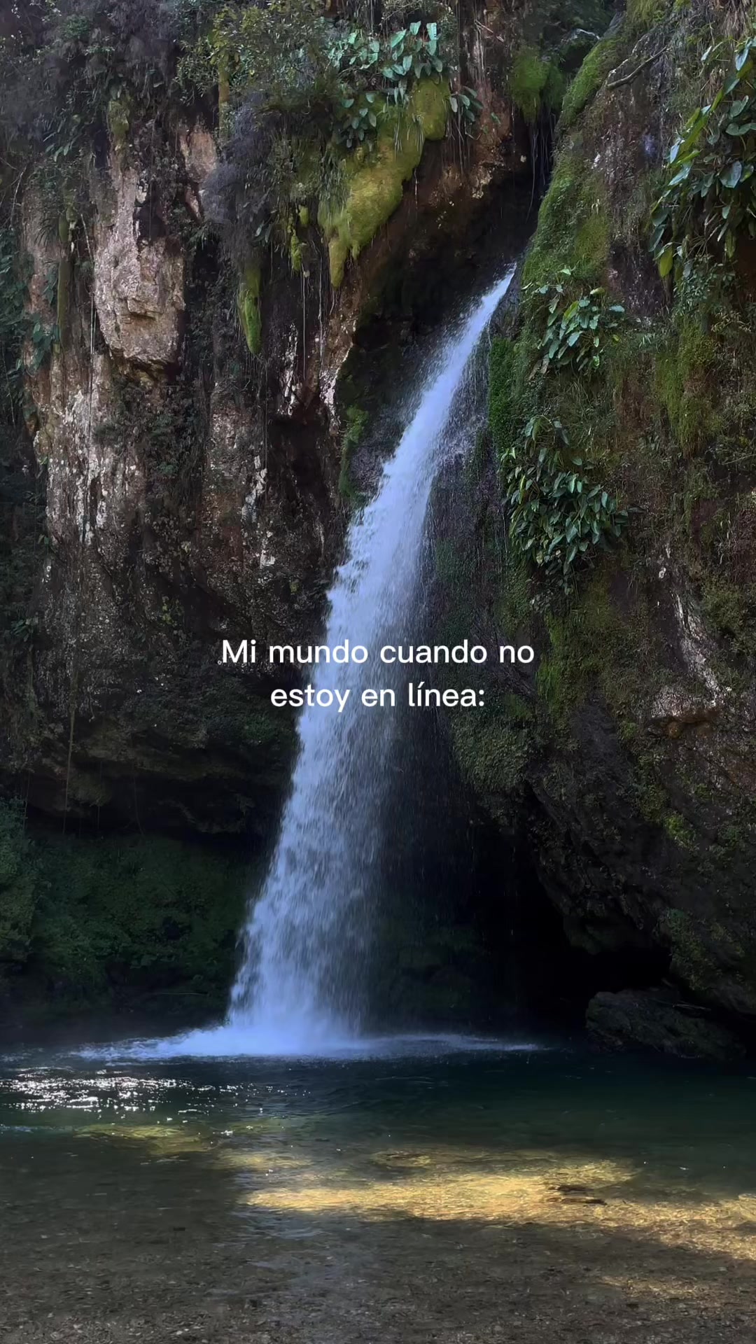 @Nieves