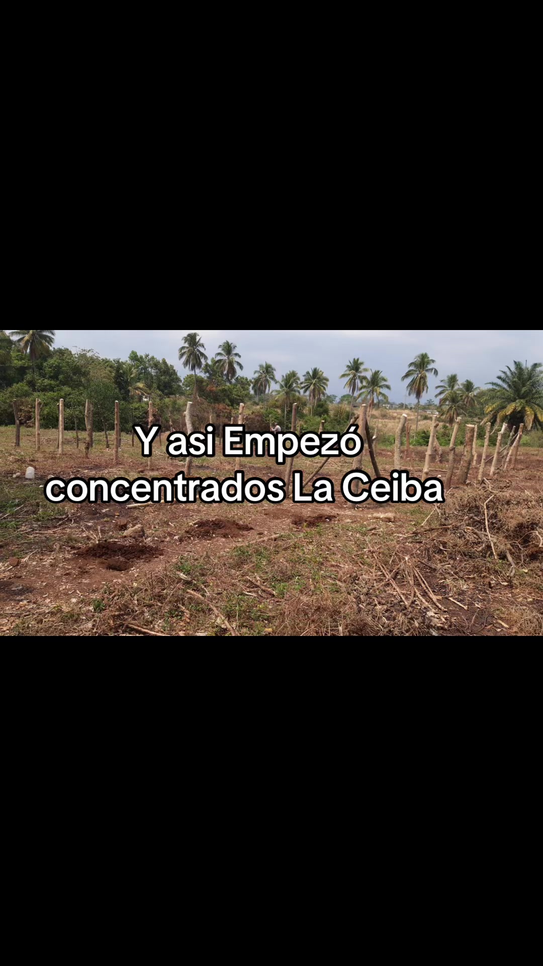 @Concentrados La Ceiba