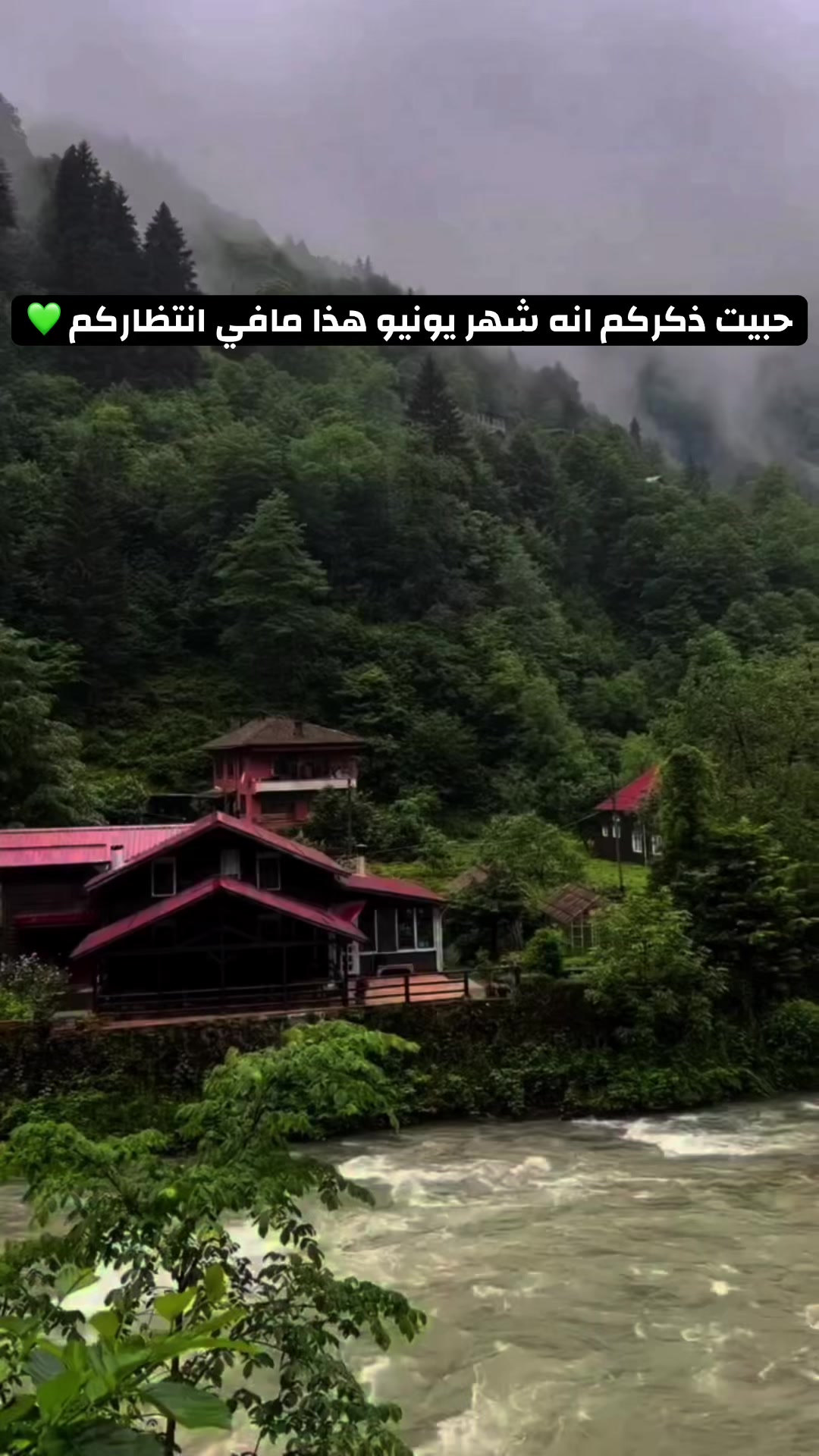 @شركة بالميريا🐫 للسياحة 📸 ✈️