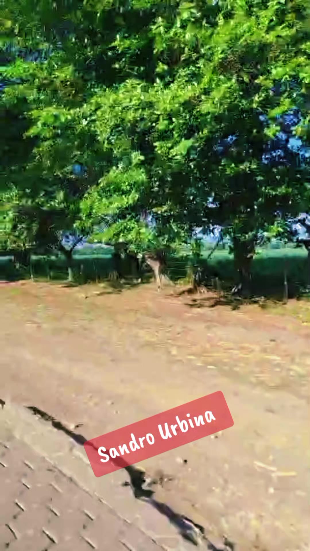 @Lo Mejor De Nicaragua