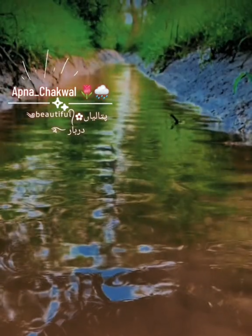 @➳᭄ABID BHATTI (。♥‿♥。)