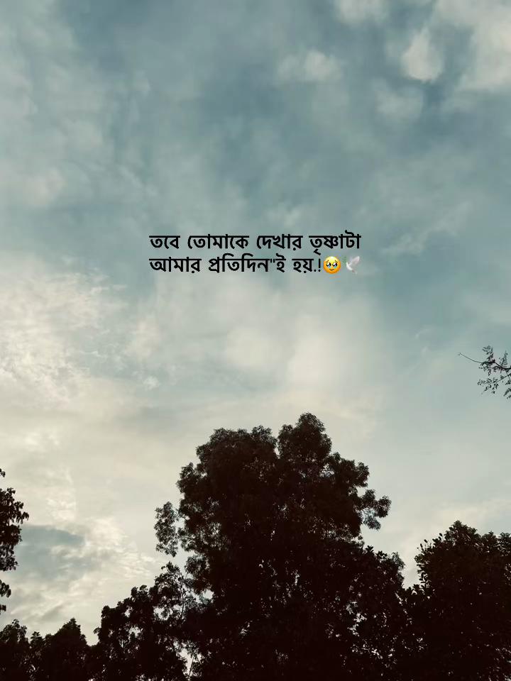 @✪ヅʜɴ᭄ ʜᴀꜰɪᴢᴜʟ..!! 🥀🔥