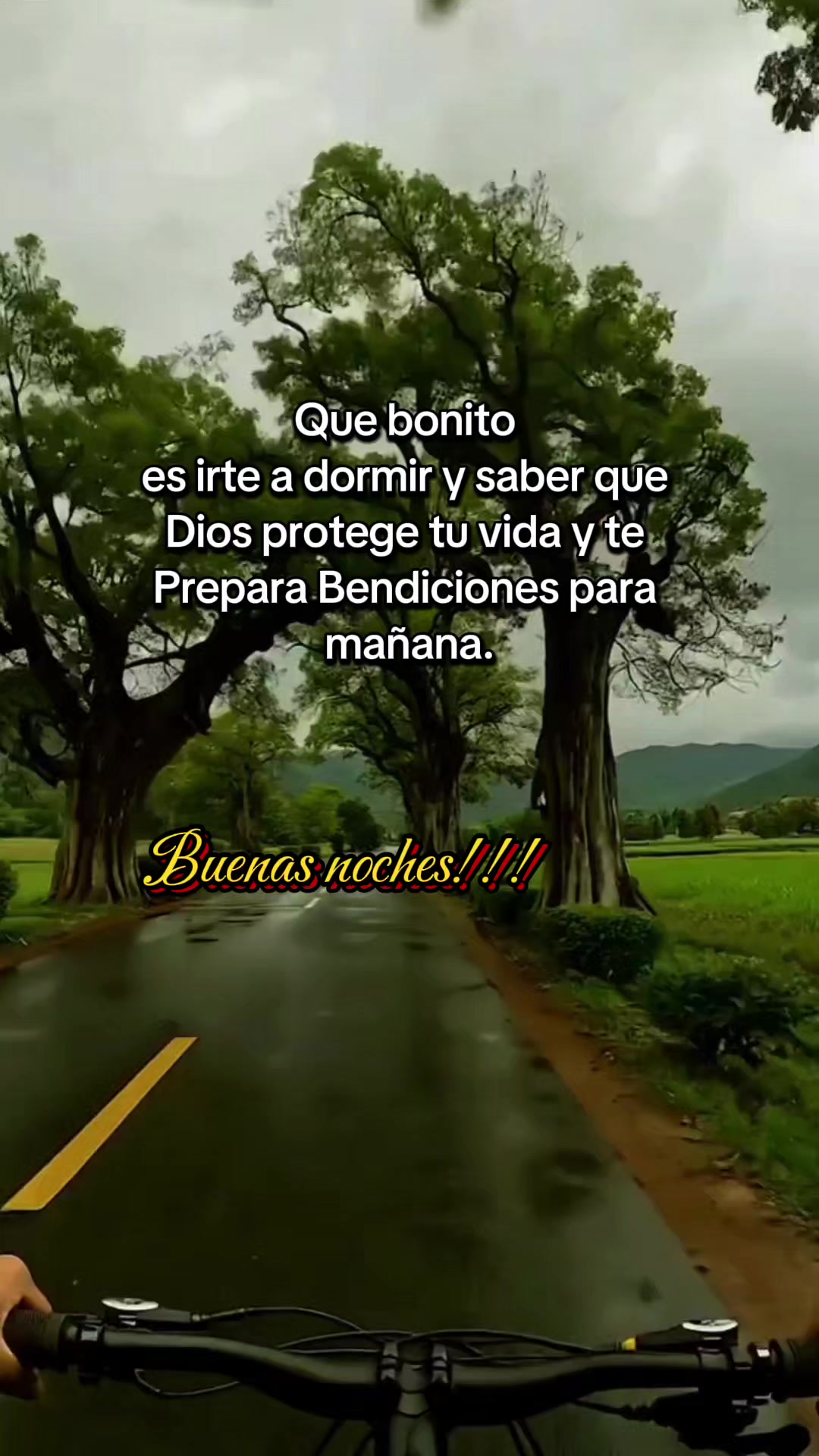 @Dalia Vicente Hernández