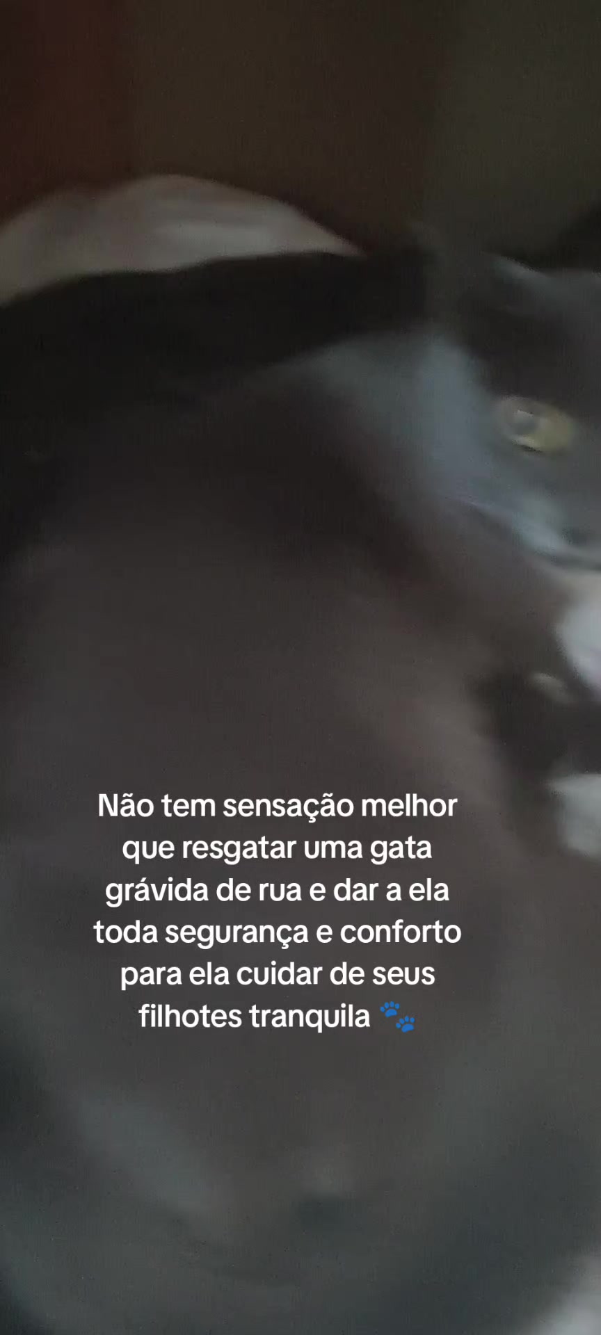 @taty_2803