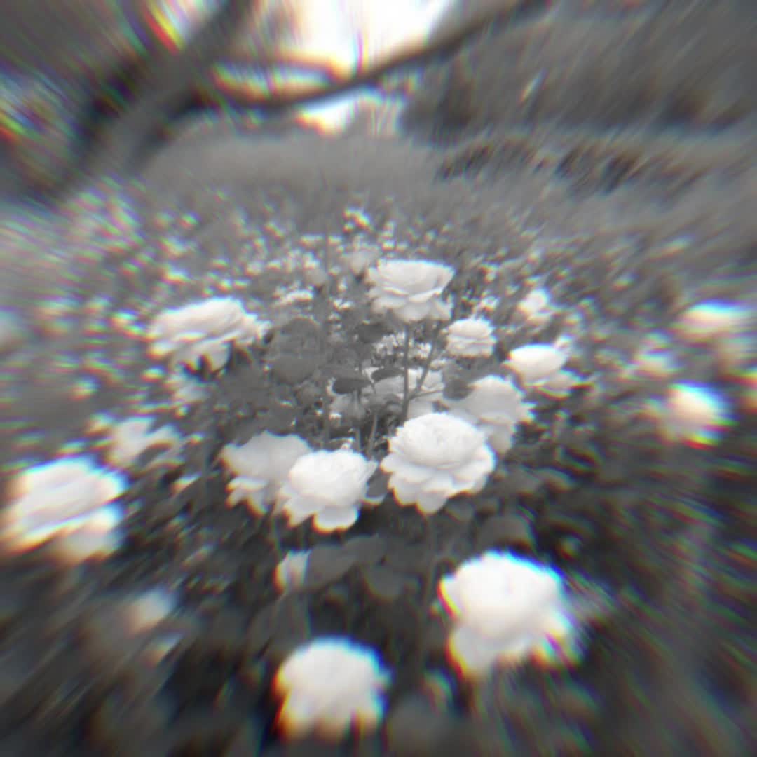 @S⋆⁷
