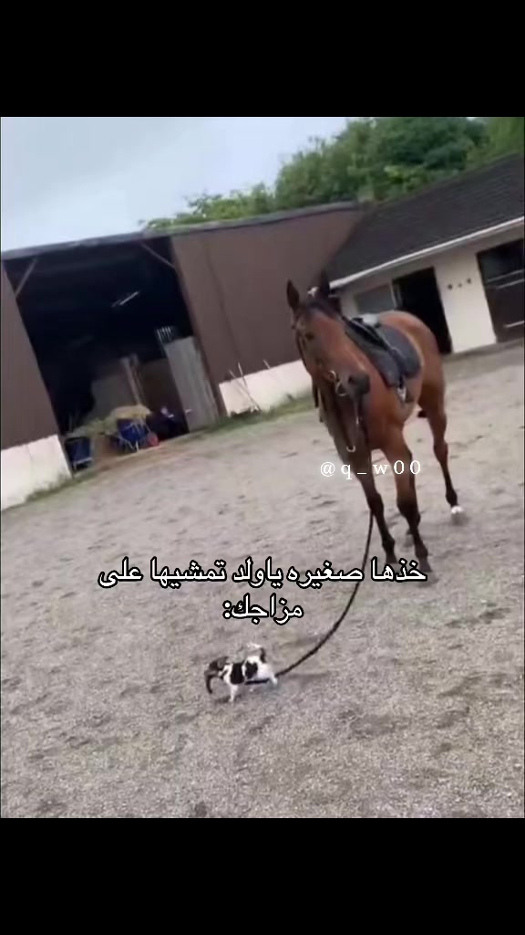 @ام زكي 🥷