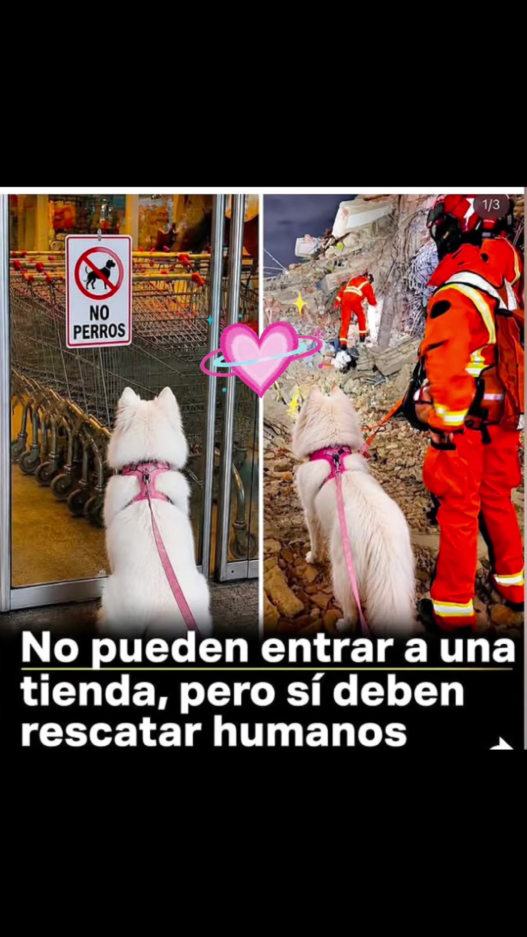 @Nora
