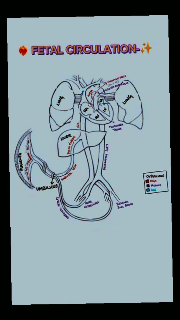 @the radiology zone