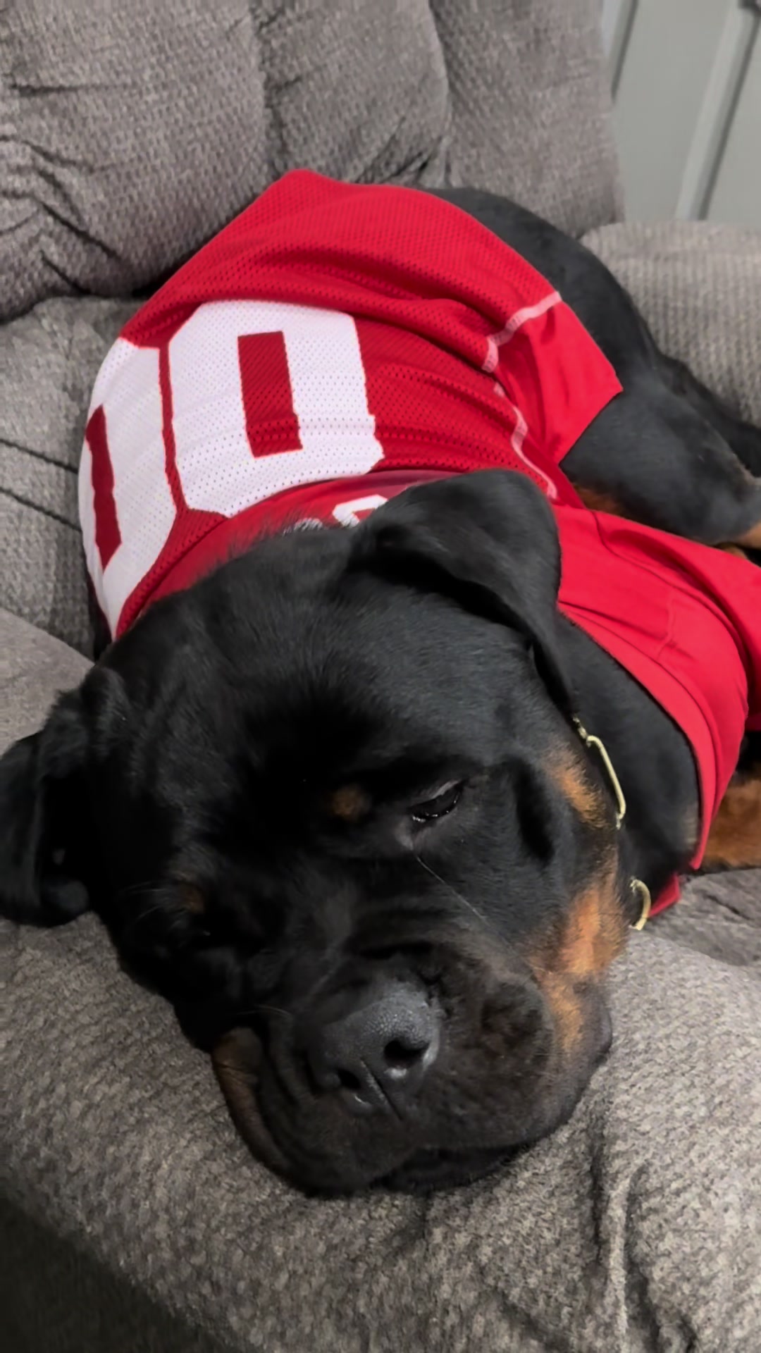 @Buckeyerotts
