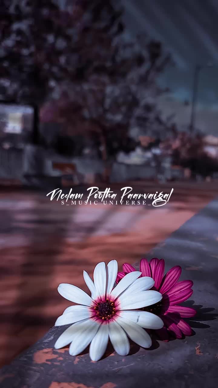 @&hearts;𝙈𝙐𝙎𝙄𝘾 𝙐𝙉𝙄𝙑𝙀𝙍𝙎𝙀&hearts;