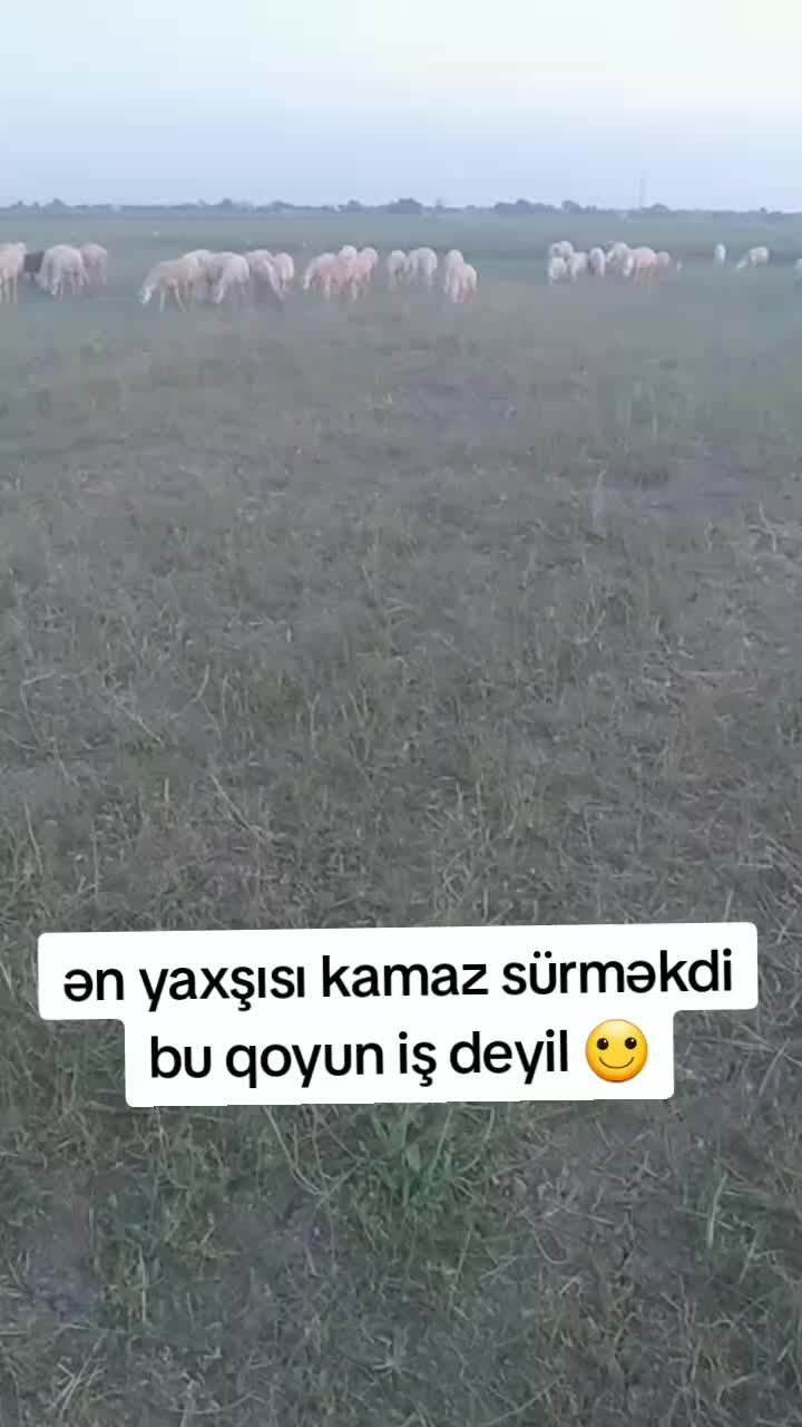 @Elşad.264