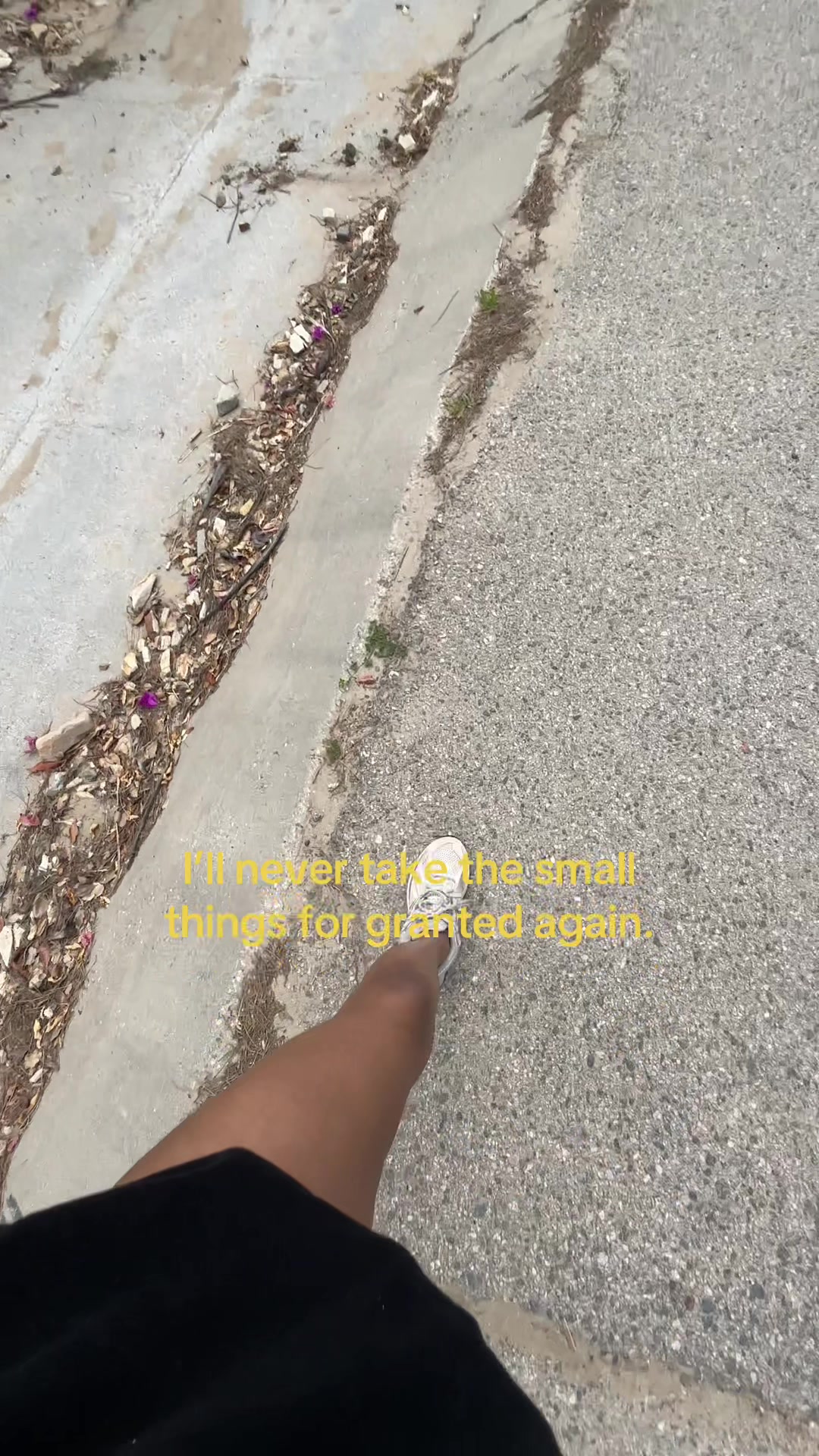 @Vega🎗️