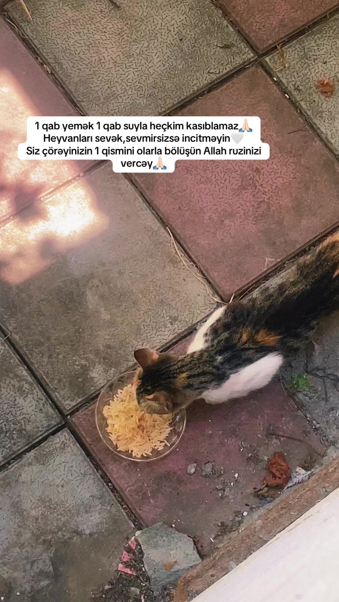 @subhan.farizoglu