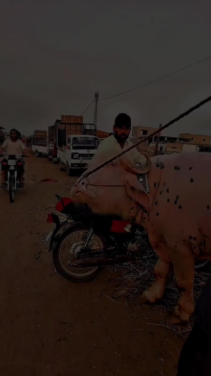 @Nasir Ali