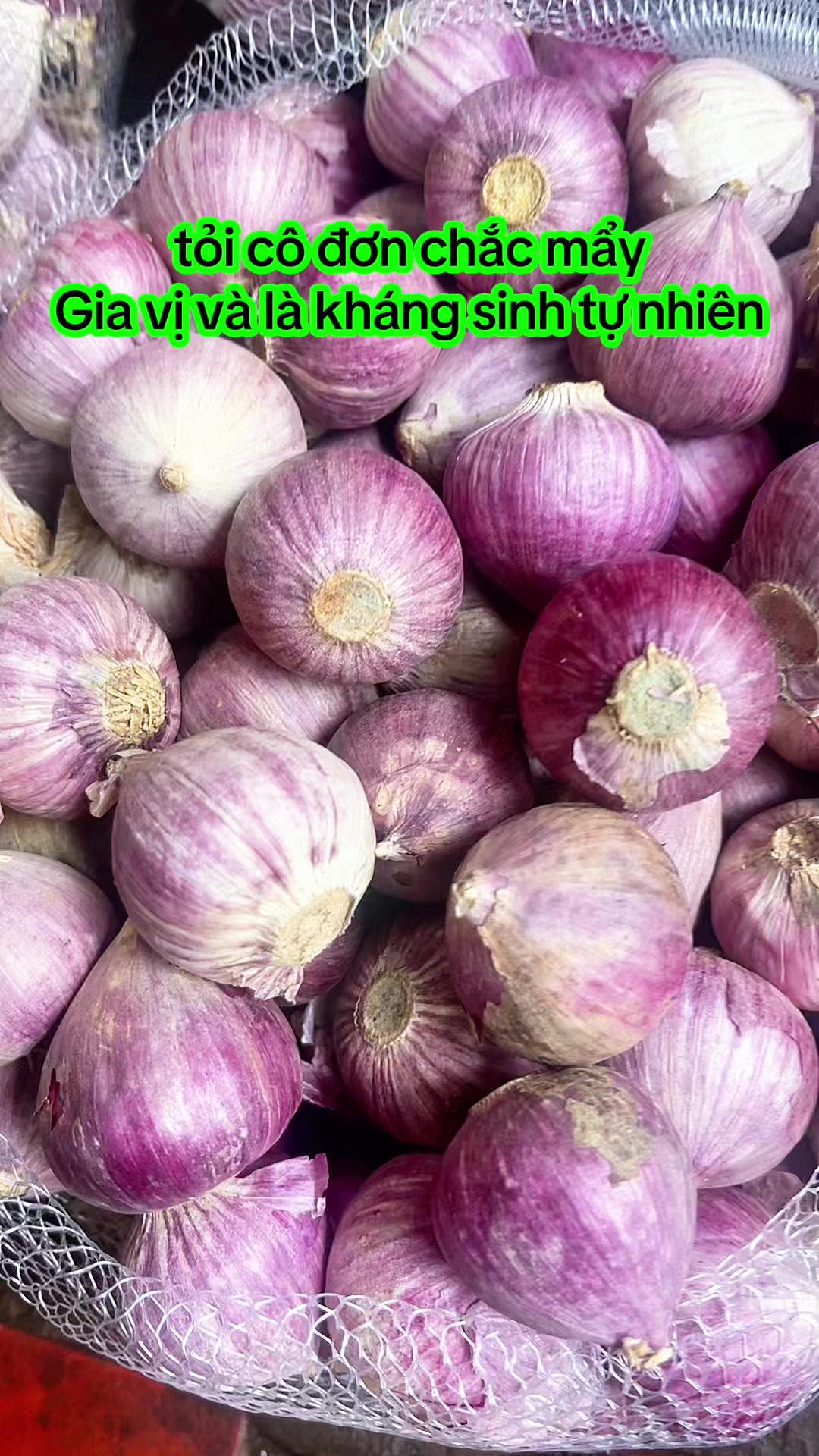 @nguyentuyet_79