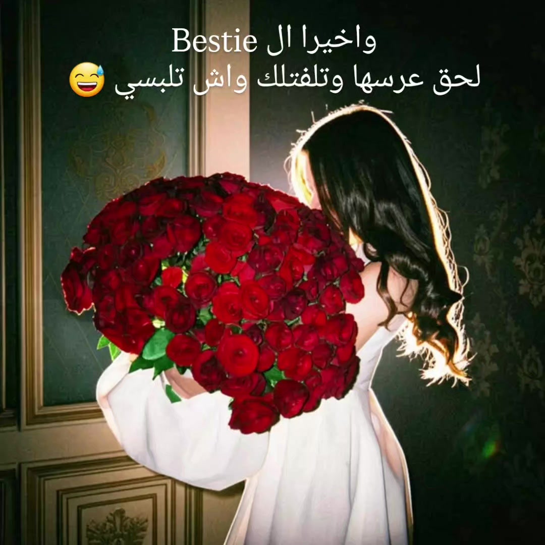 @Nour-collection