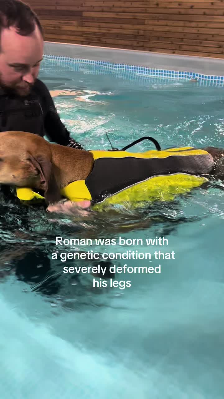 @Roman the Great Dane