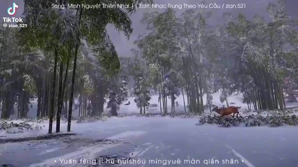 @cá mực nhỏ🌺