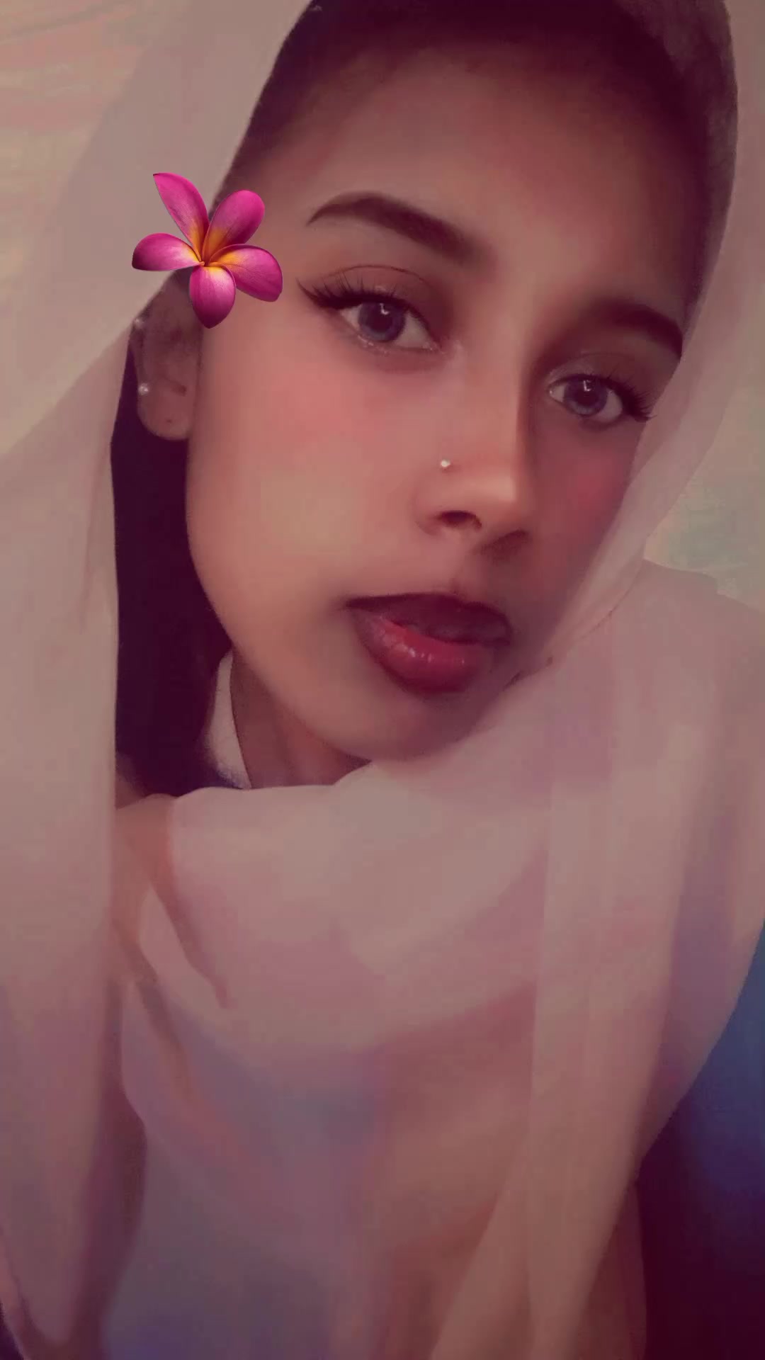 @❤️🍫🐈🐈🐈🐈
