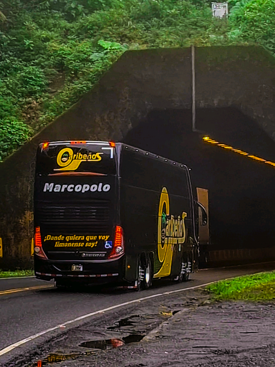 @BUSES PZ | BPZ