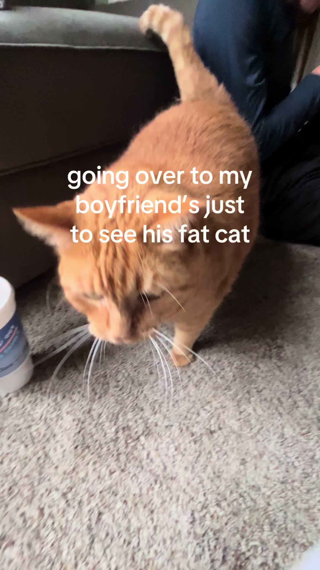 @fiftyshadesofgrace