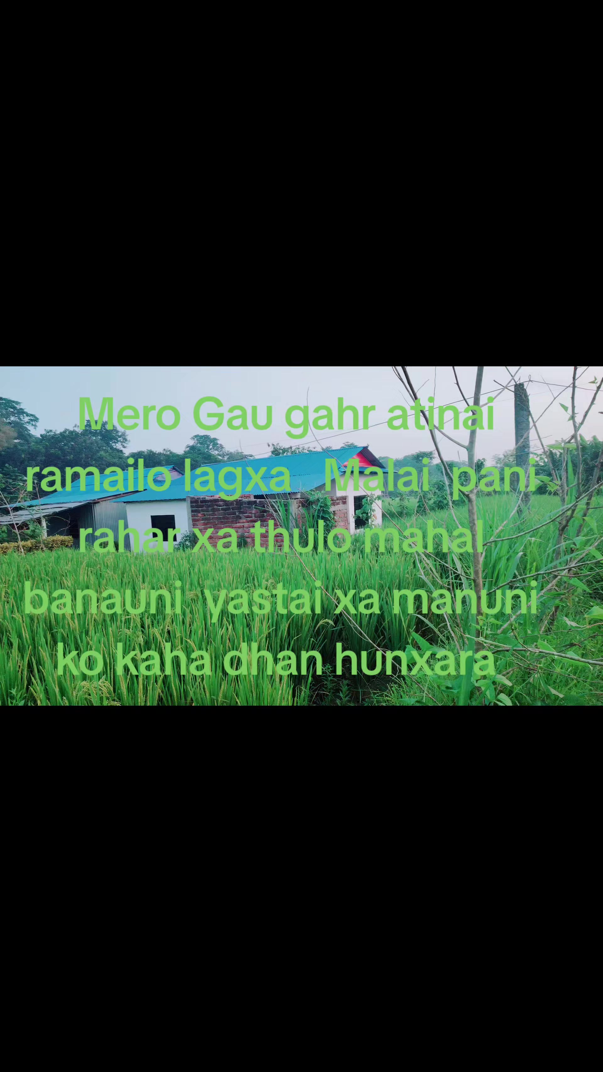 @Mr. haku 🤝🤜🤛💪🫵