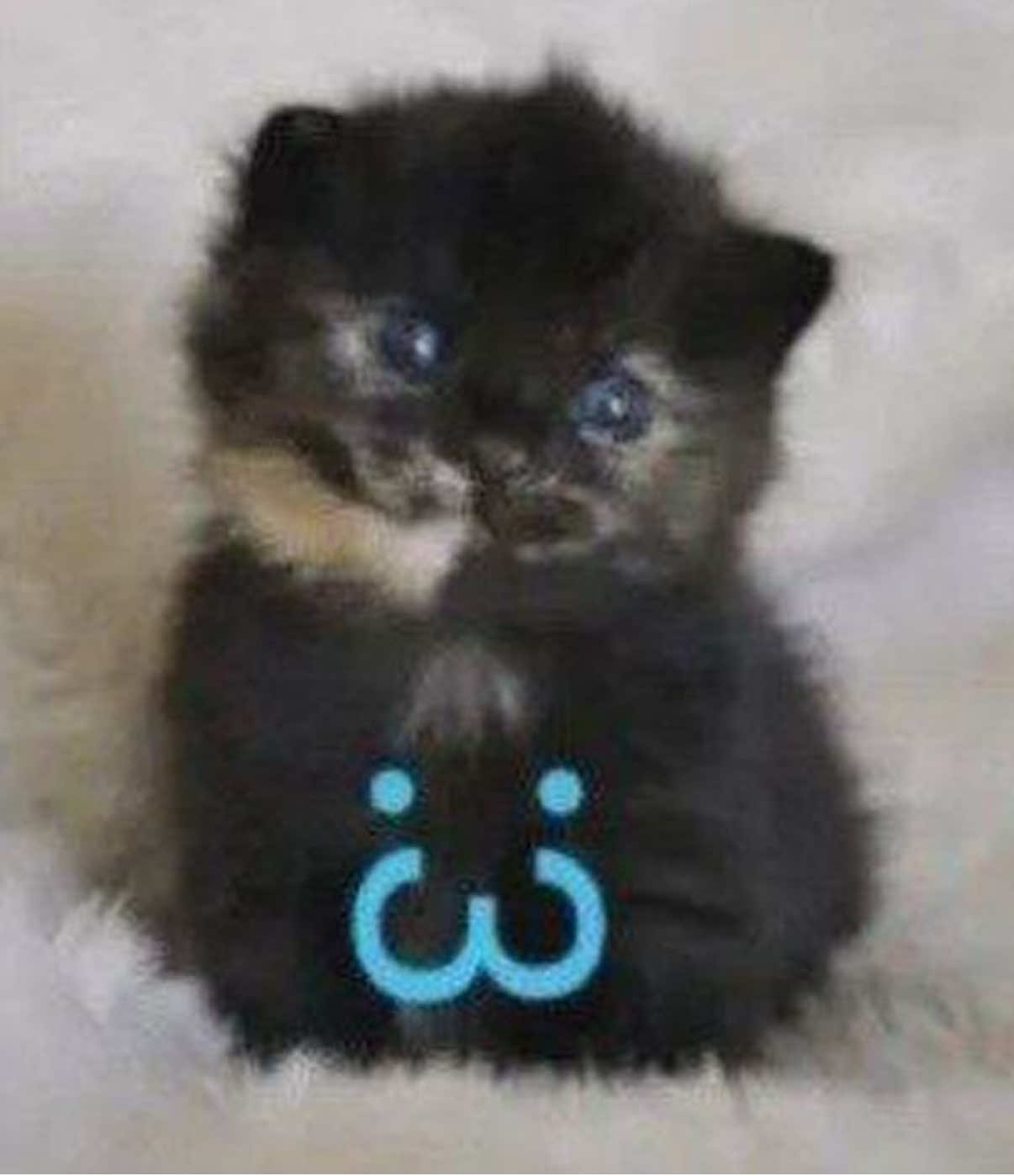 @selith.in.6969