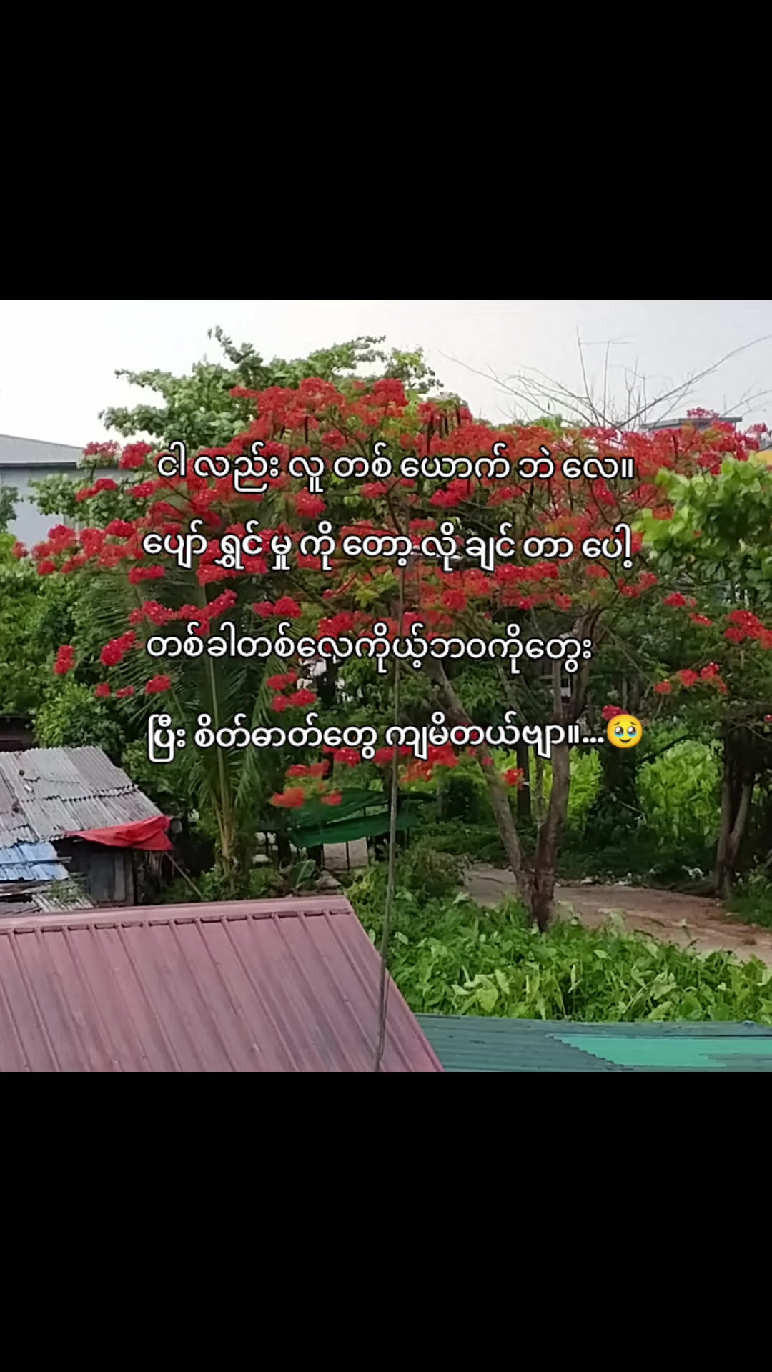 @ရေခဲမုန့်ပူပူလေးရမယ်🤮