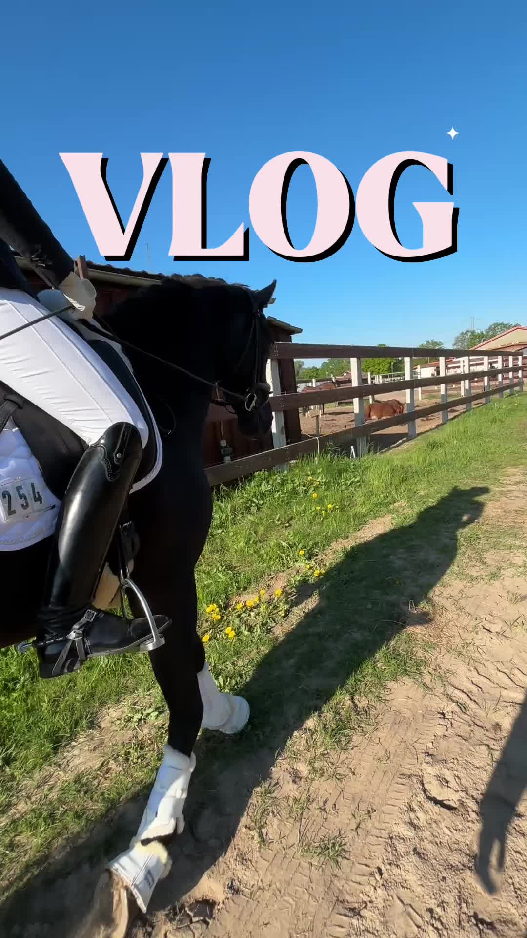 @evis.pferdechaos